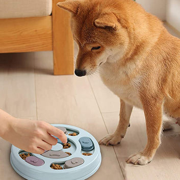 Dog Puzzle Slow Feed Bowl